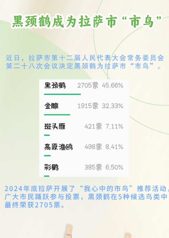 屏幕截圖_11-3-2025_14430_10.10.1.131.jpg