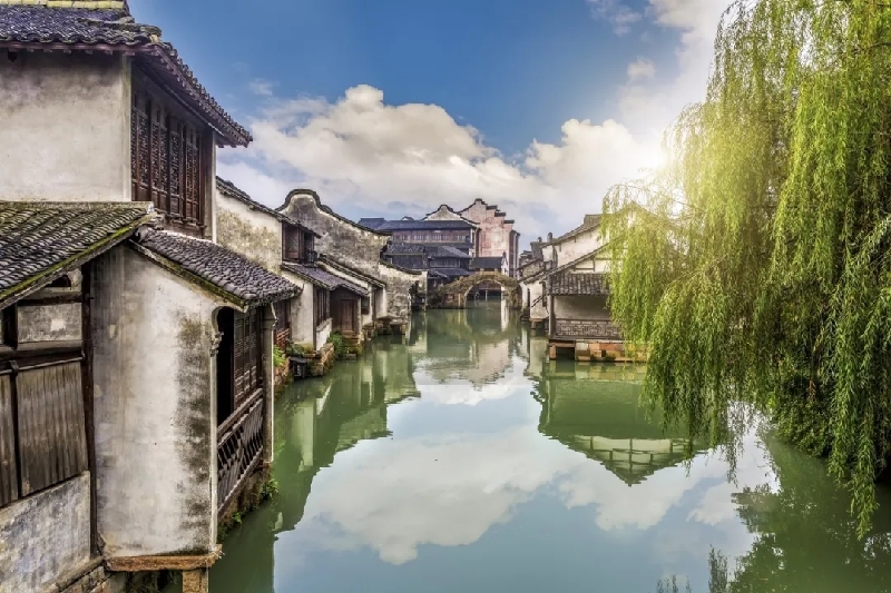 烏鎮(zhèn)動(dòng)觀察｜這個(gè)字，牽起國(guó)際交流互鑒之紐帶